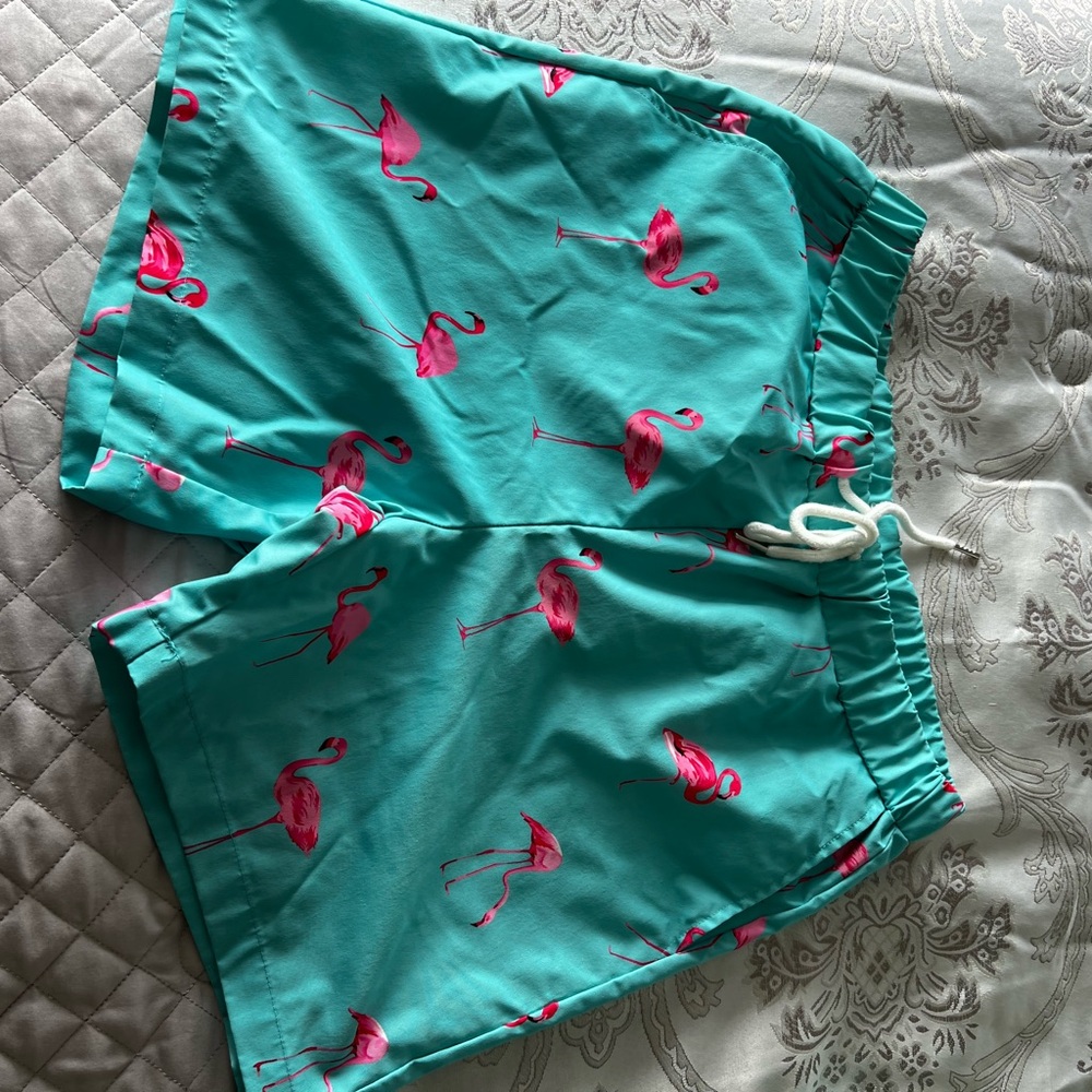 SHEIN Turquoise Flamingo Swim Shorts